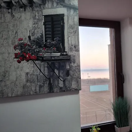 Coral Resident- Nord *